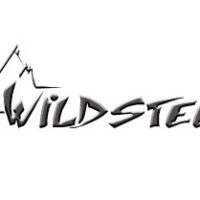 WILDSTEER