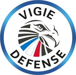 VIGIE DEFENSE